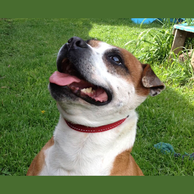 Photo of Rosie