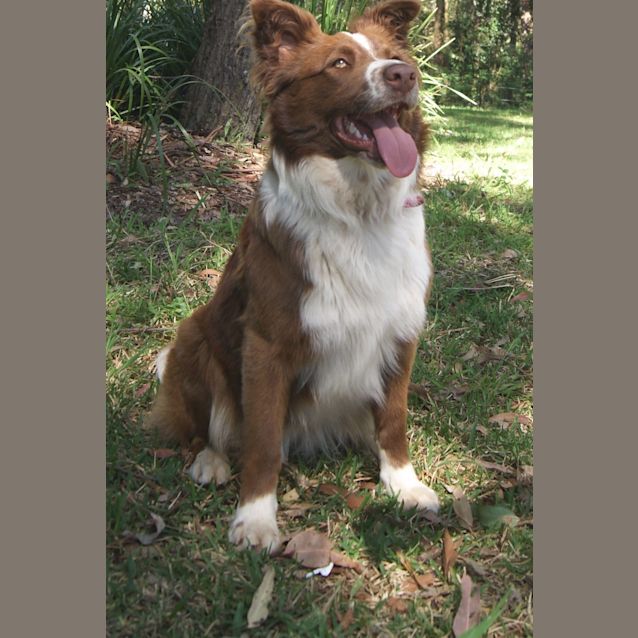 Photo of Ruby