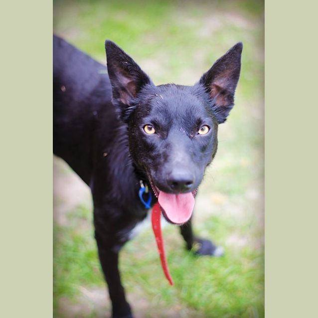 Photo of Lucy