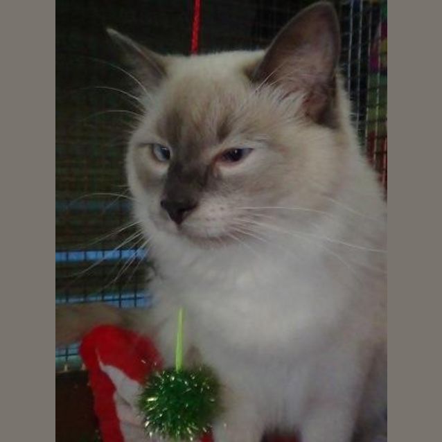 Photo of Colin