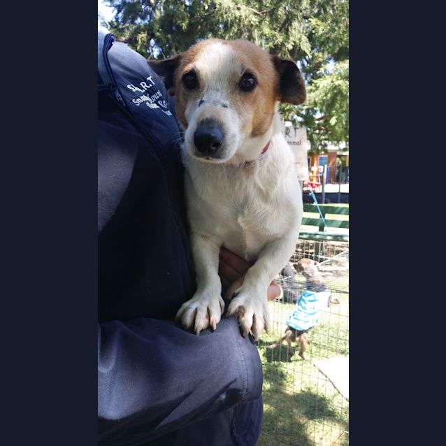 Photo of Jack 