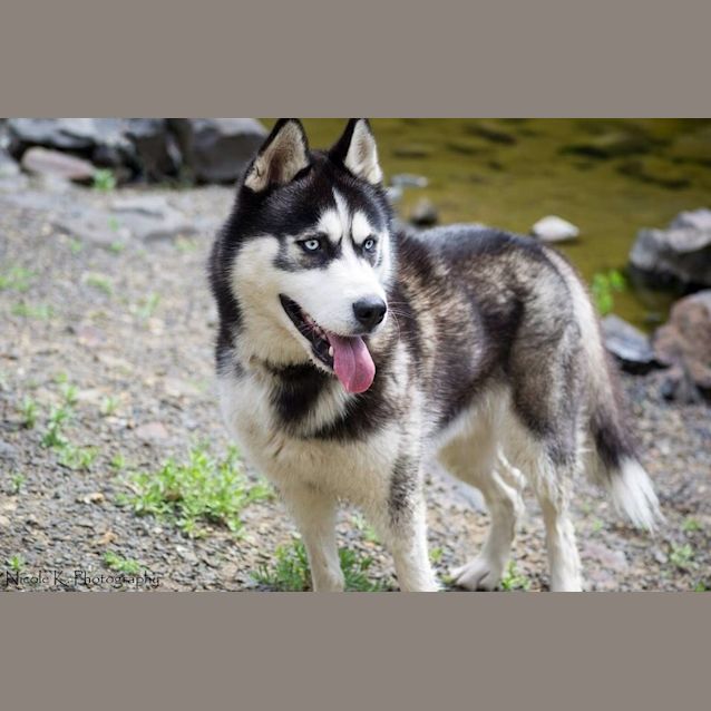 Photo of Bane