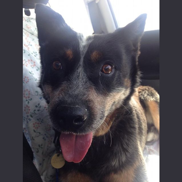 Photo of Max