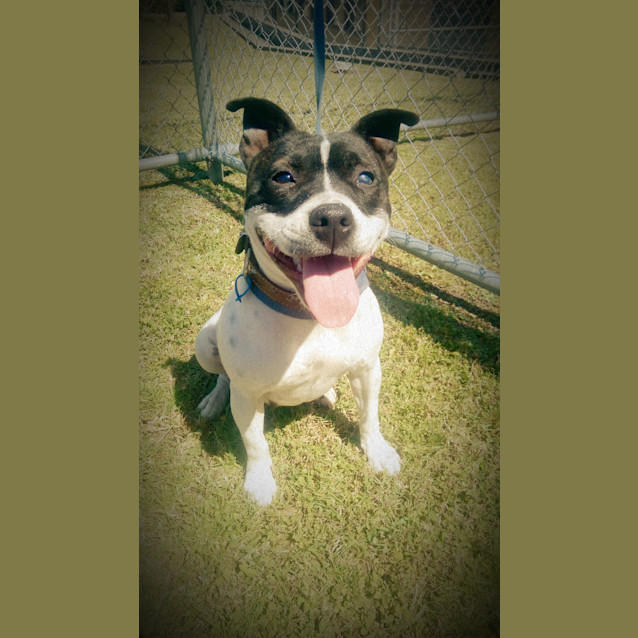 Photo of Missy 