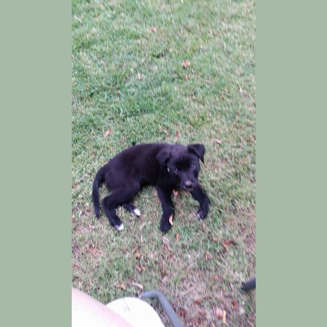 Photo of Harley