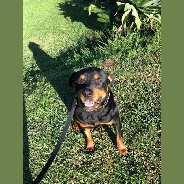 Photo of Butch