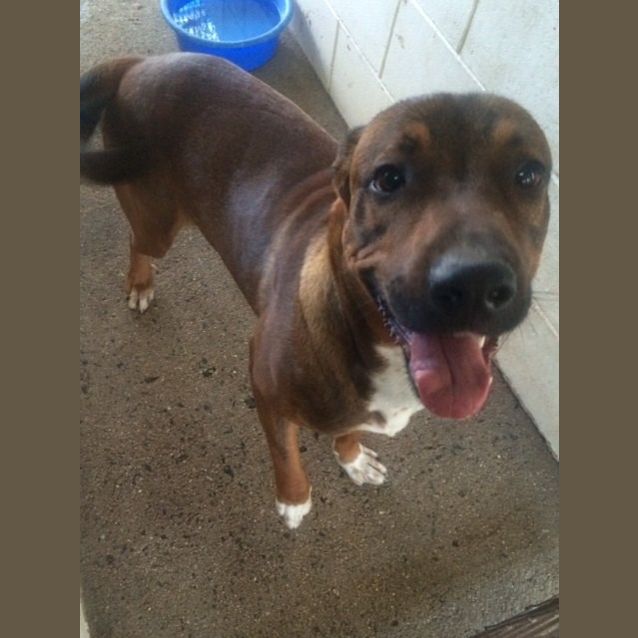 Photo of Colt