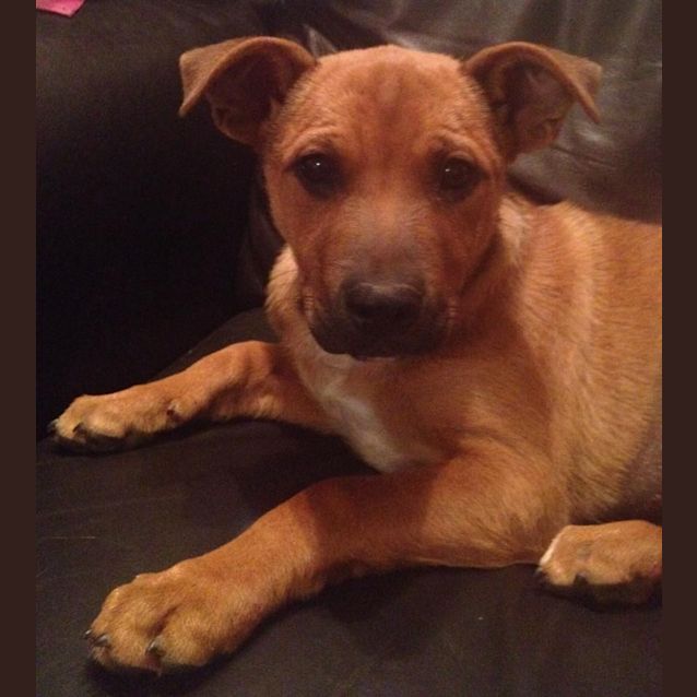 Photo of Ruby