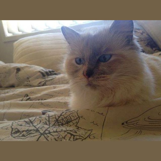 Photo of Mishka