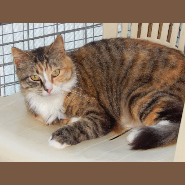 Photo of Delilah