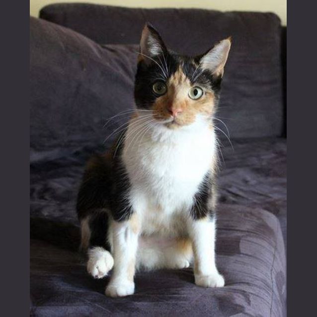 Photo of Cali