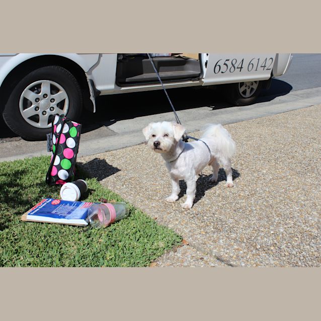 Photo of Benjie Id46