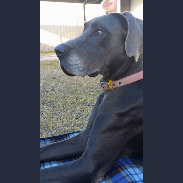 Photo of Lady 