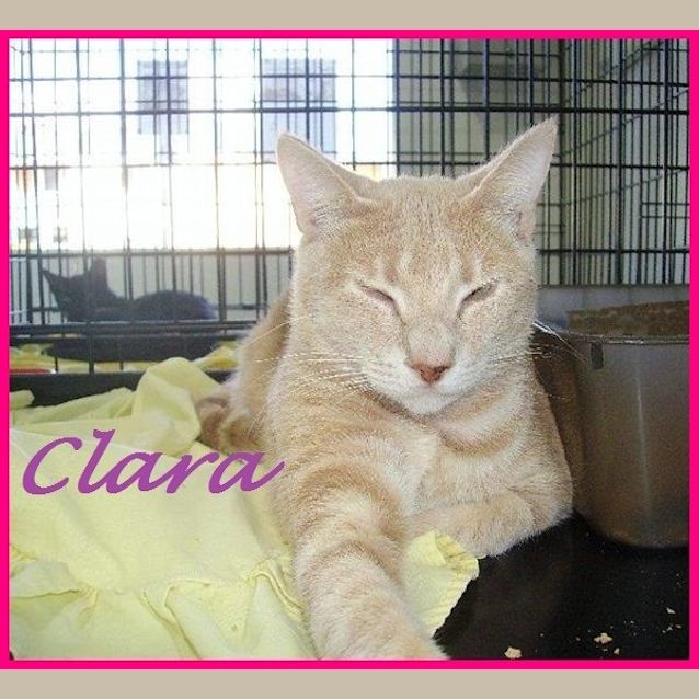 Photo of Clara