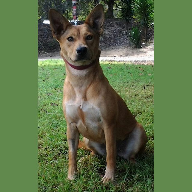 Photo of 091 3332 Bella