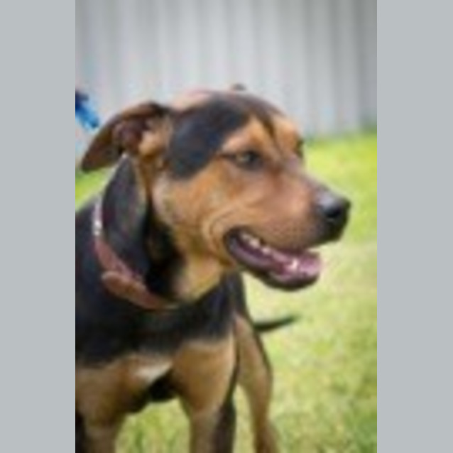 Photo of Zeke Ed0001