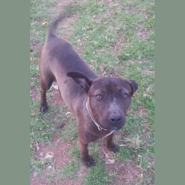 Photo of Luna Fee Reduced