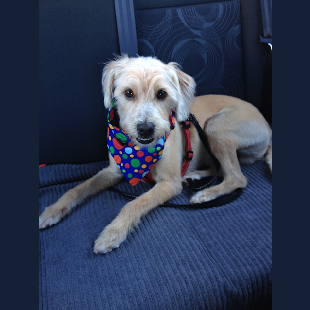 Photo of Wilfred