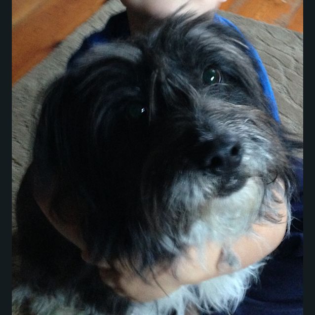 Photo of Duke