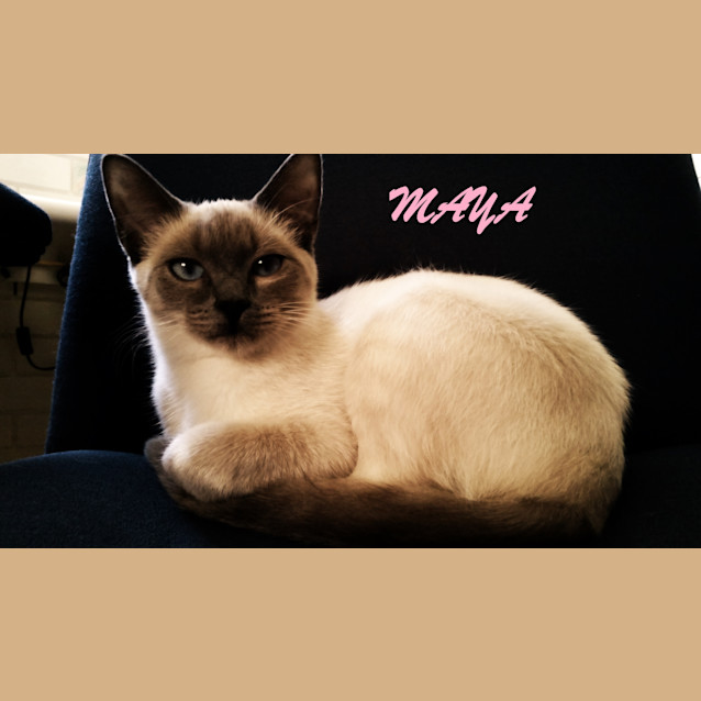 Photo of Maya