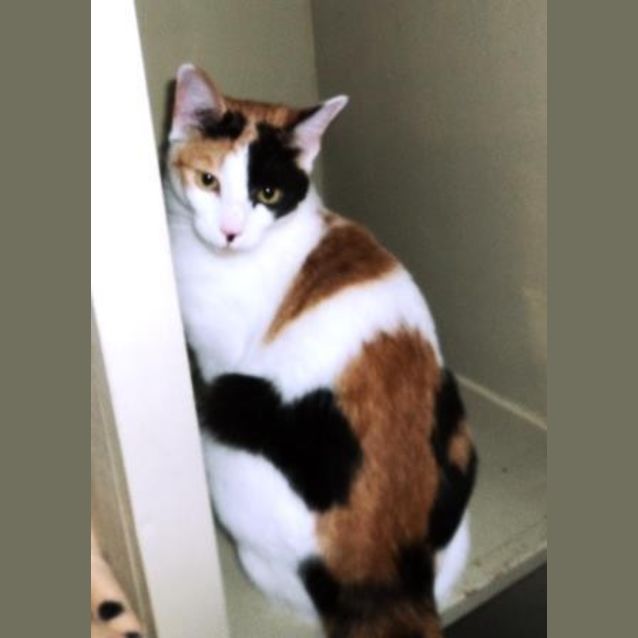 Photo of Sabrina