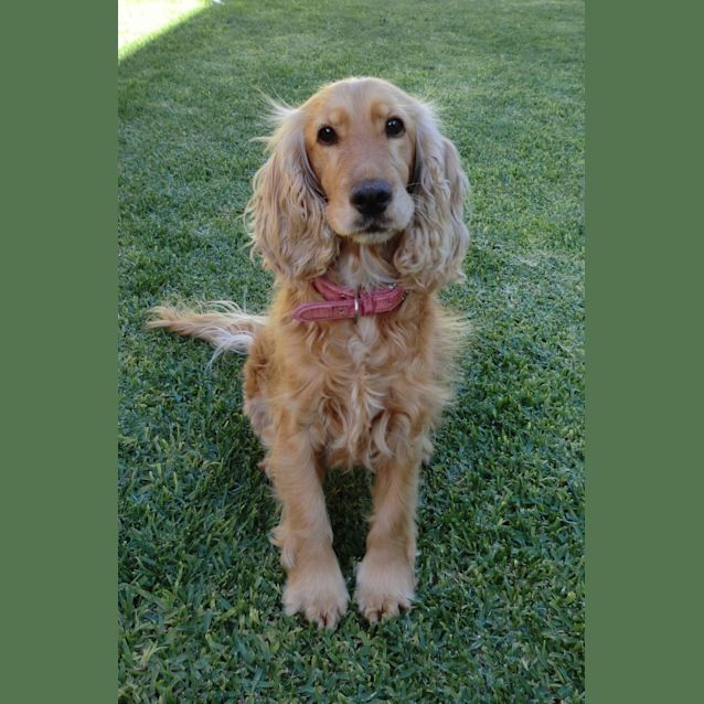 Photo of Zoey *On Trial In Her New Home*