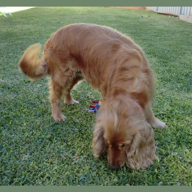 Photo of Zoey *On Trial In Her New Home*