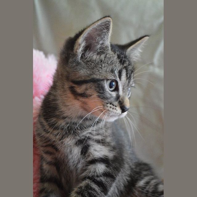Photo of Rupert