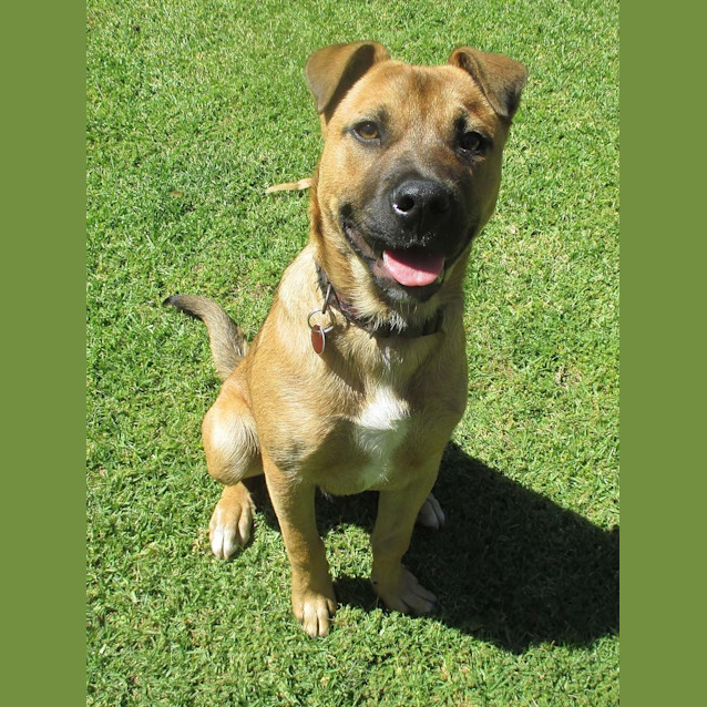 Photo of Rolly (E,1171)