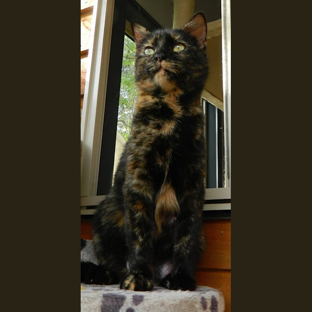Photo of Duchess