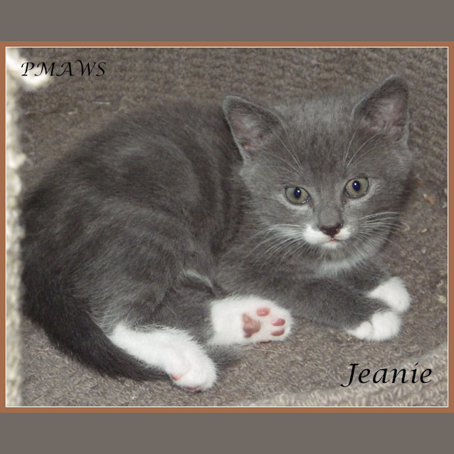 Photo of Jeanie