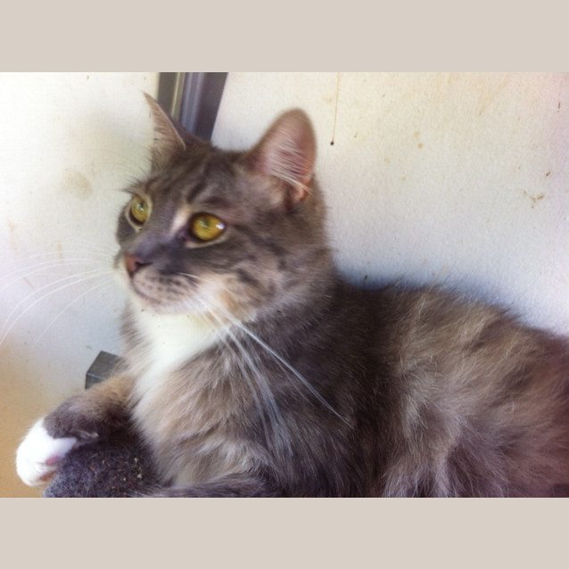 Photo of Minimum Mayhem