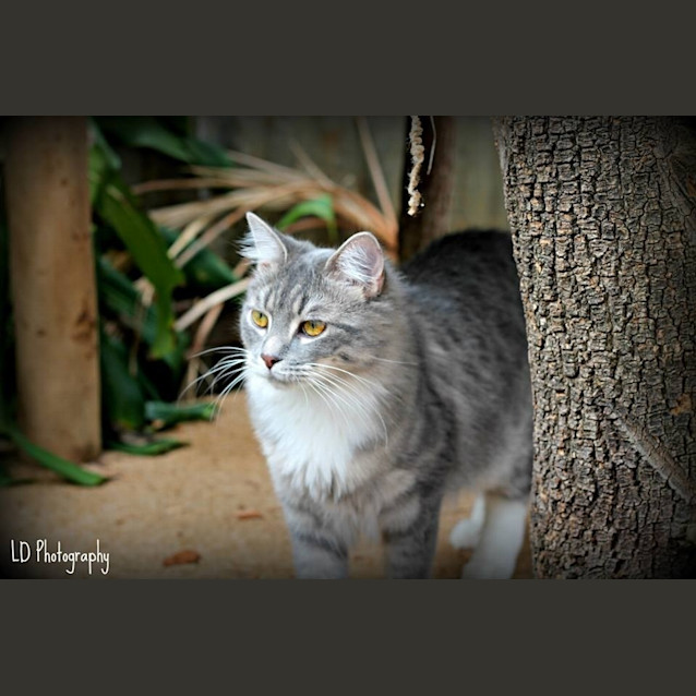 Photo of Minimum Mayhem