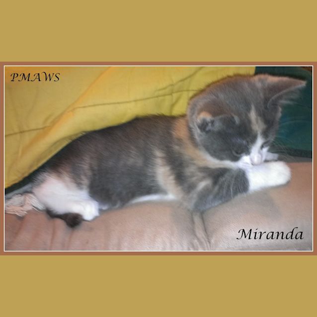 Photo of Miranda