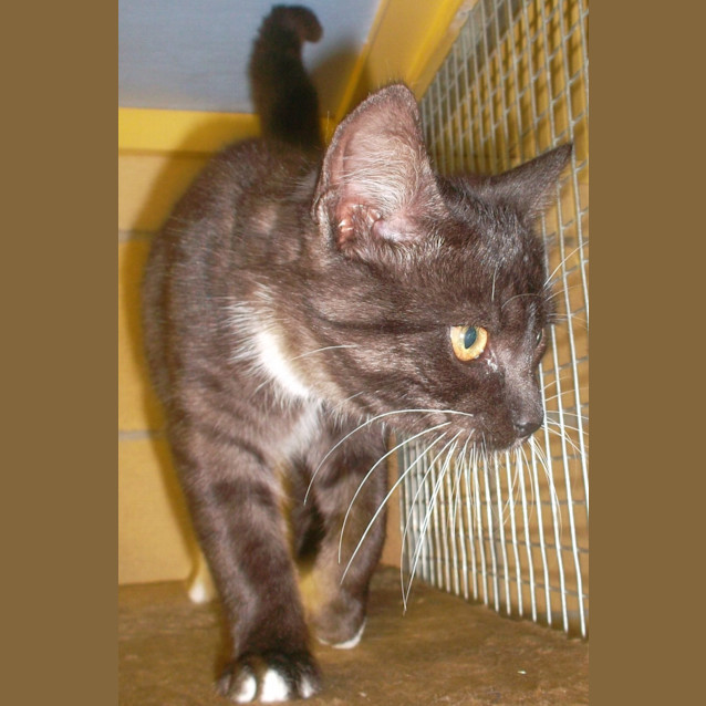 Photo of Tom