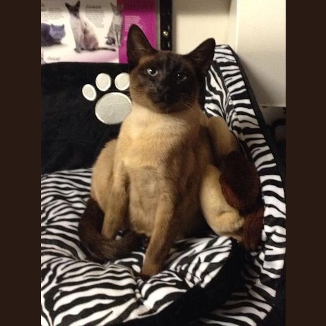 Photo of Princess