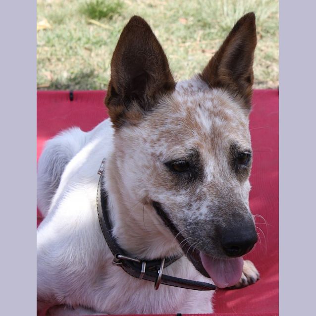 Photo of Milky