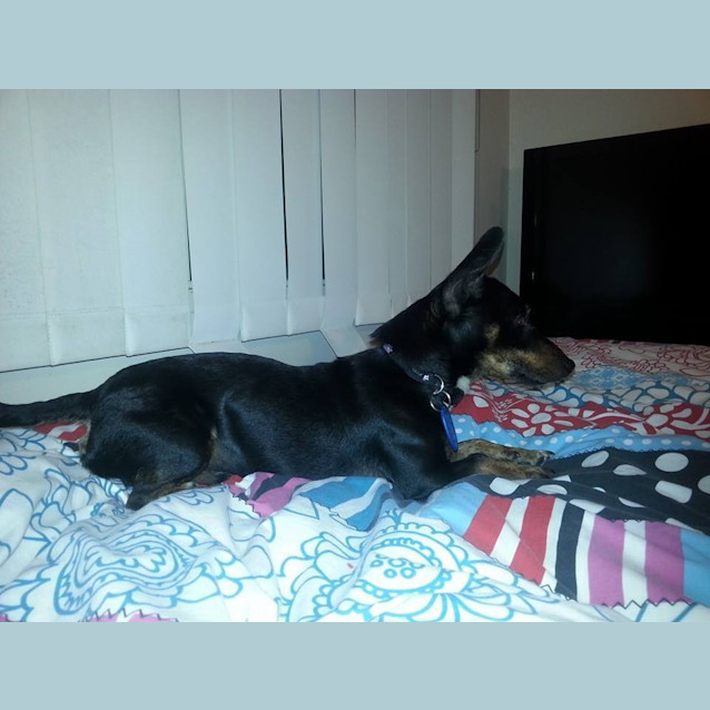 Photo of Reggie