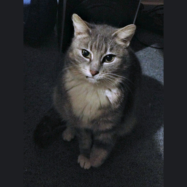 Photo of Martha   Special Needs