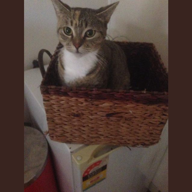 Photo of Tia