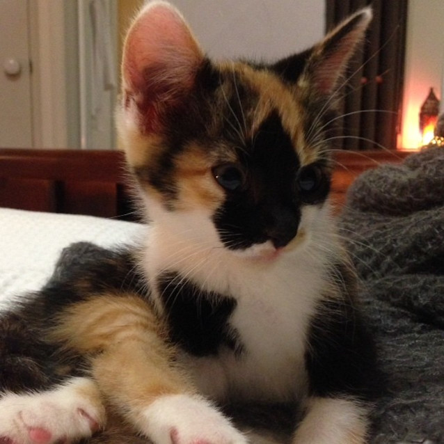 Photo of Juliette