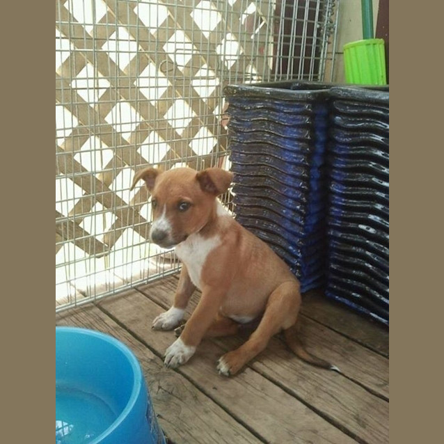 Photo of Flynn