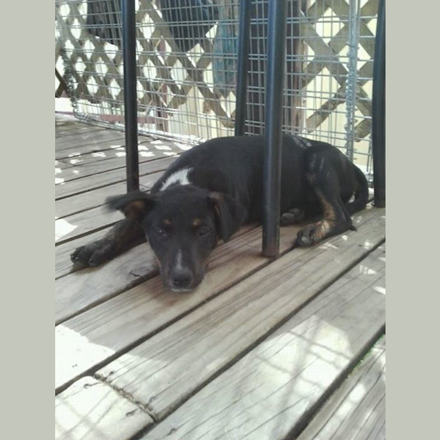 Photo of Axel