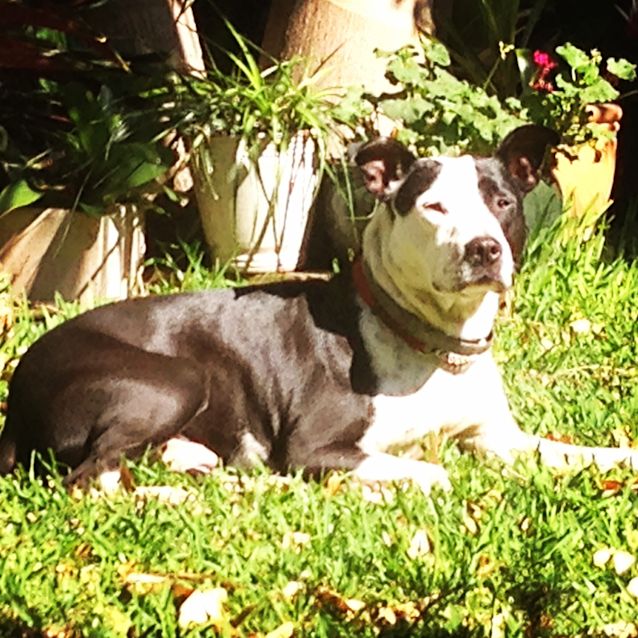 Photo of Lumi
