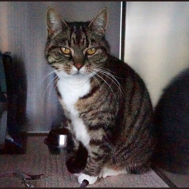 Photo of Molly