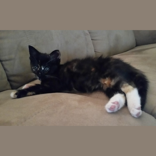 Photo of Miss Mollie