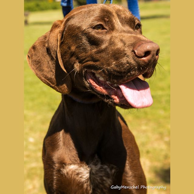Photo of Hershey