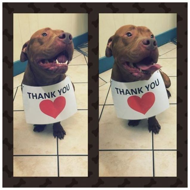 Photo of Barry **Desperate To Leave The Pound **
