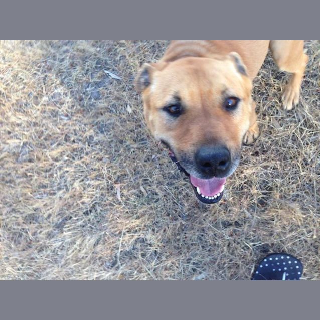 Photo of Kya   Absolute Sweetheart