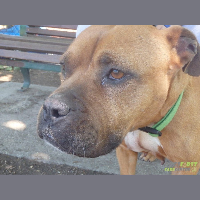 Photo of Roxy